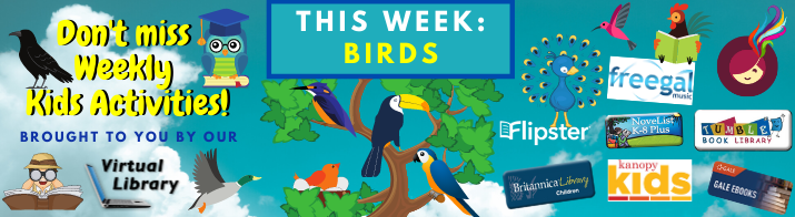 Activities_Banner-Birds
