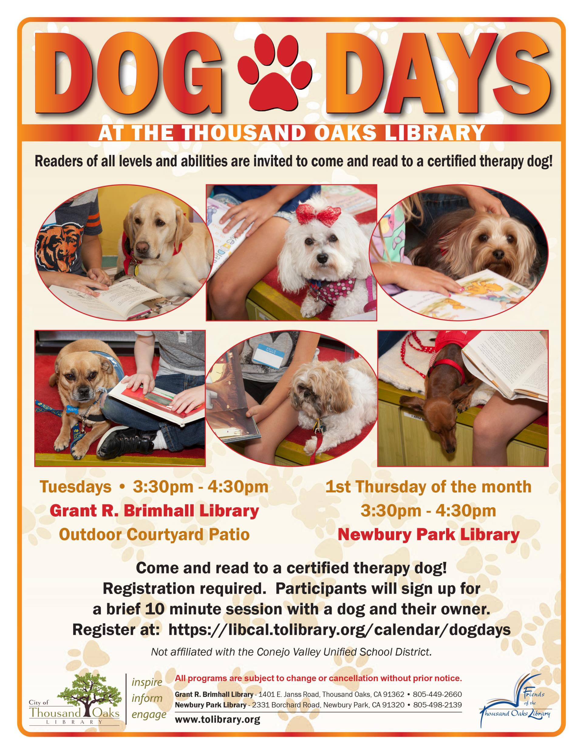 Dog Days Flyer - Fall 2021