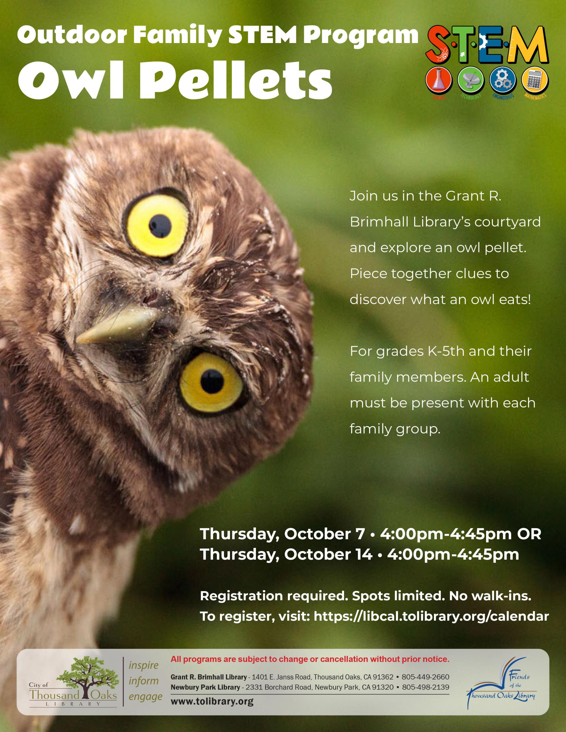 Owl Pellets Flyer - Oct 2021