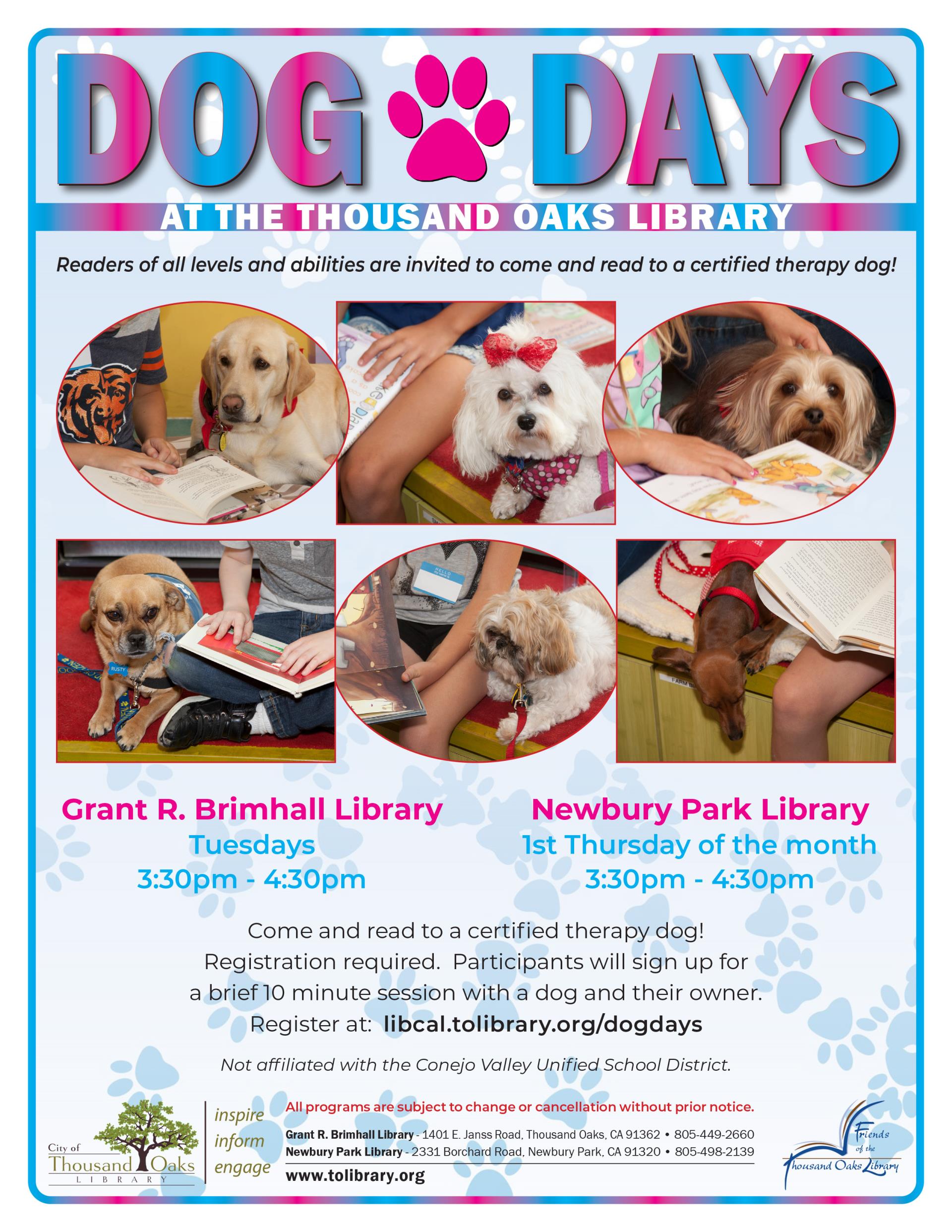Dog Days - Winter 2022