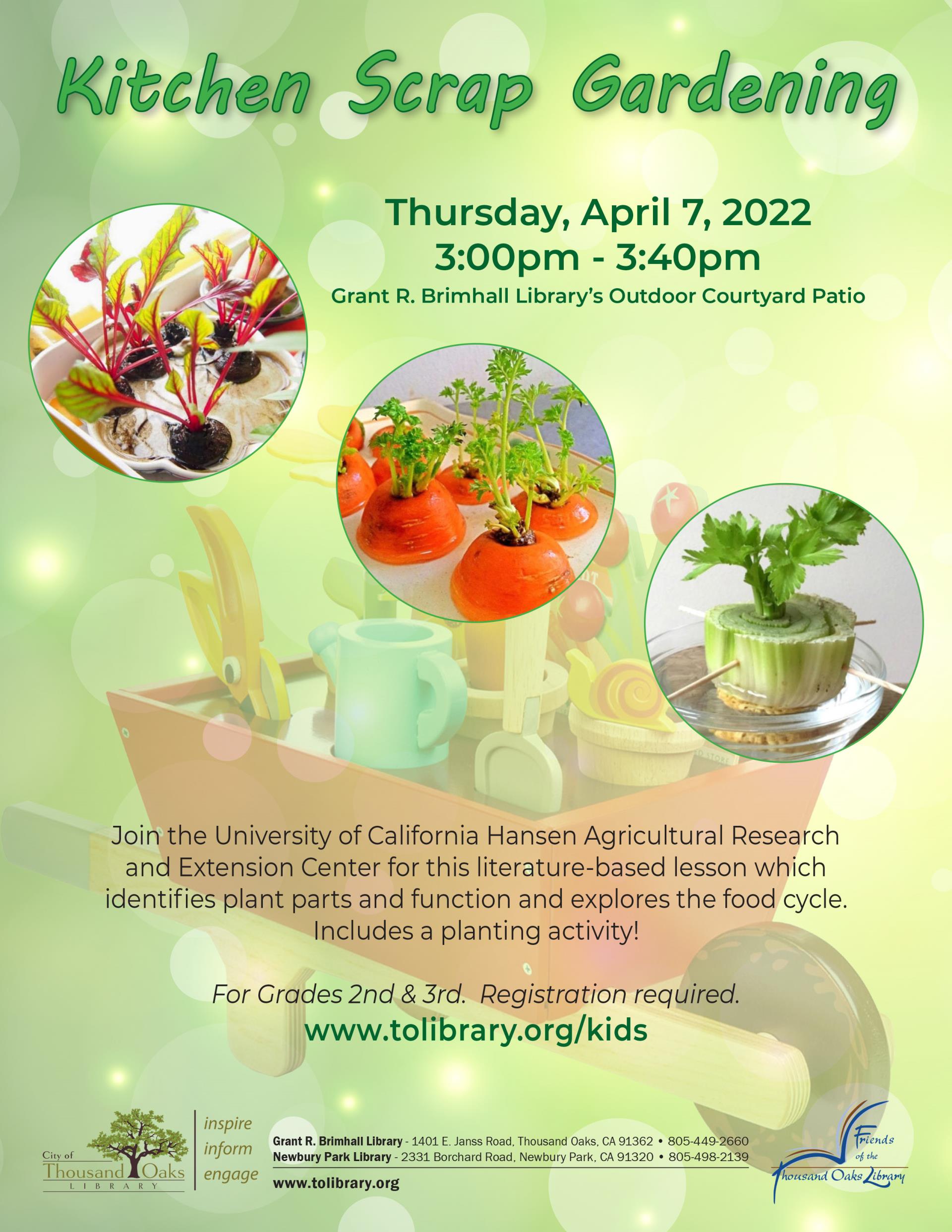 Kitchen Scrap Gardening - Apr 2022