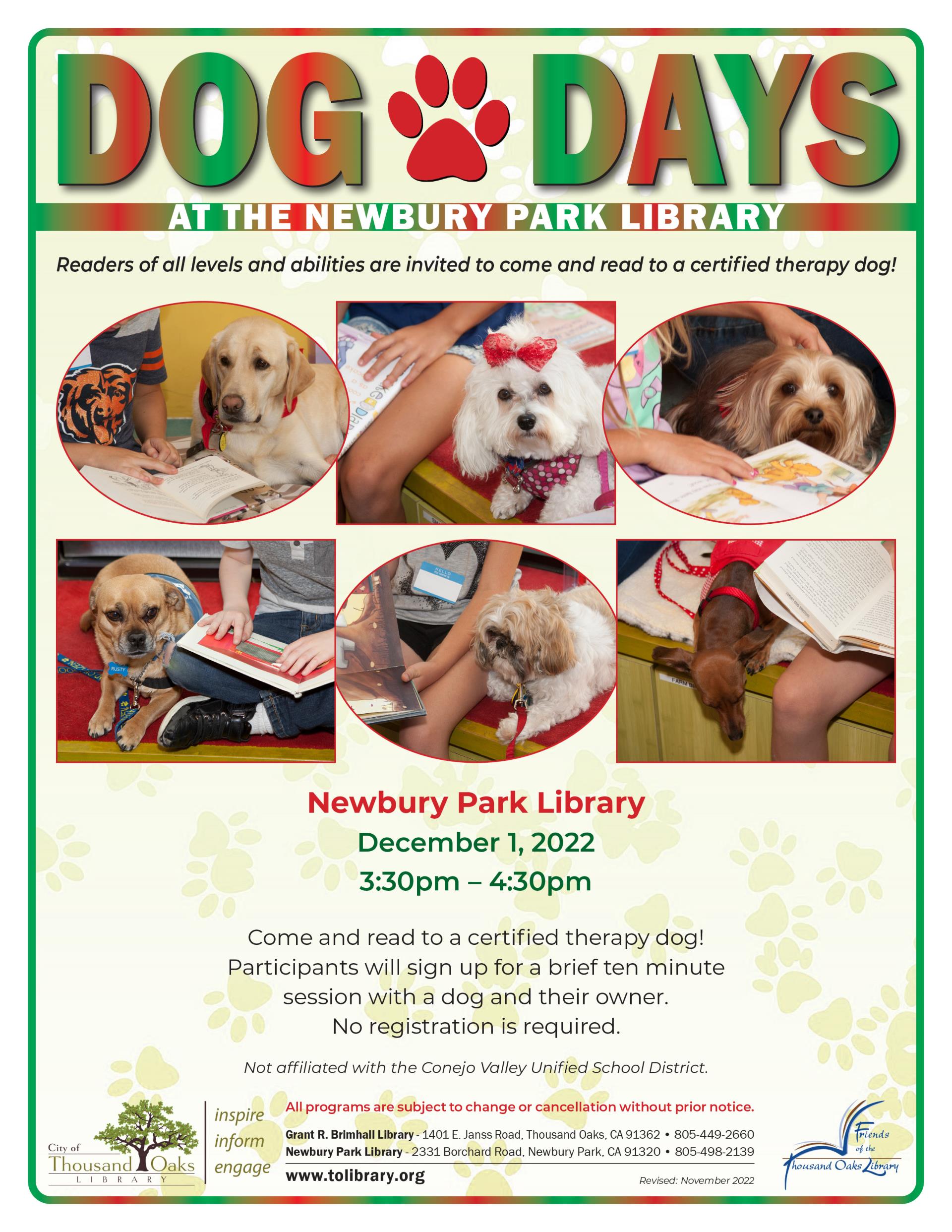 Dog Days - December 2022