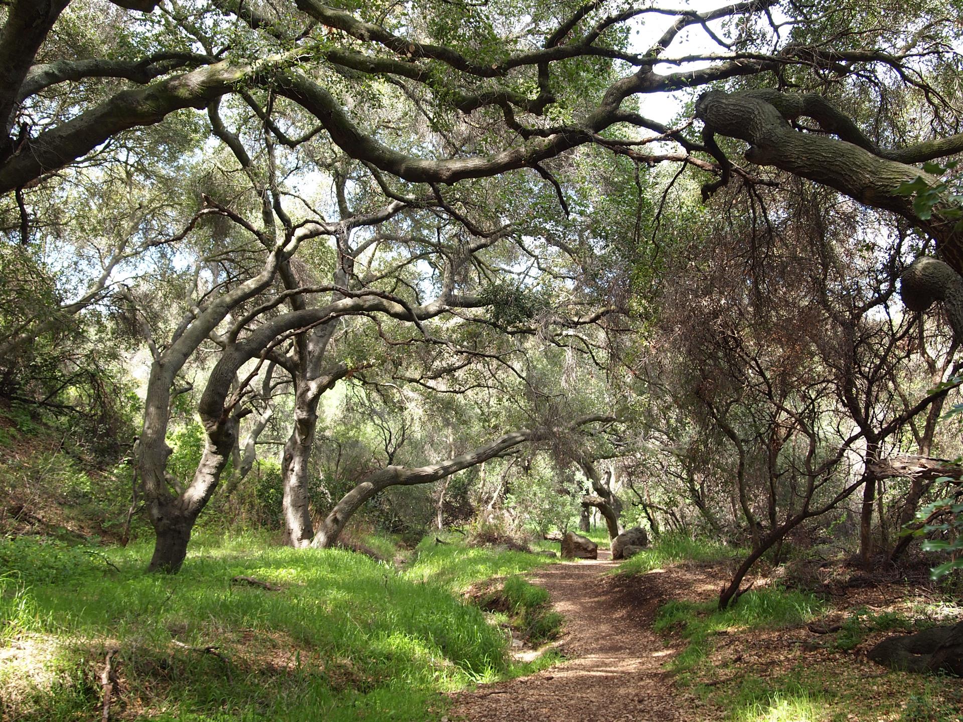 Kelly Hammerslag - 3rd - Los Padres Trail